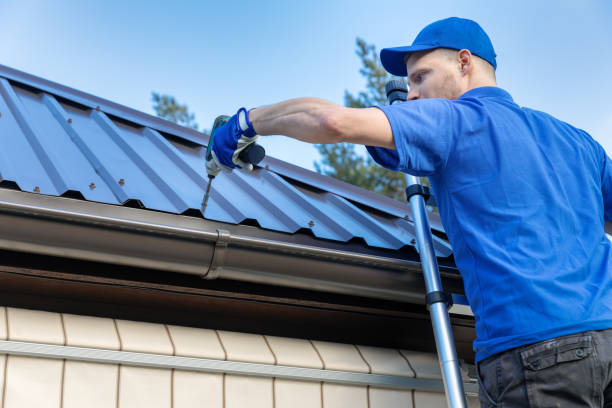 Best Sheet Metal Roofing  in Vado, NM