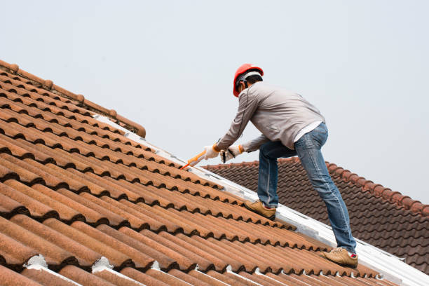 Best Metal Roofing Installation  in Vado, NM