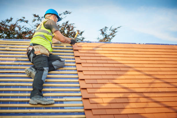 Best Roof Leak Repair  in Vado, NM
